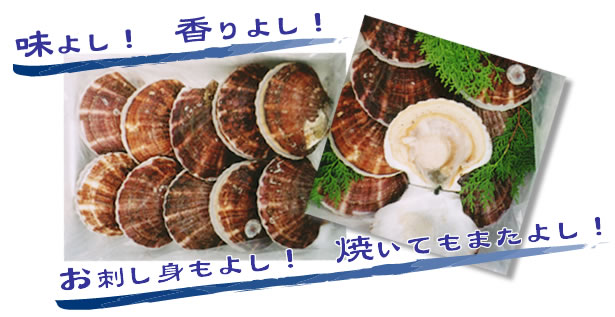 �g�l�z�^�e